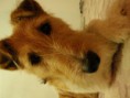 /album/fotogaleria-fotogaleria/pa204014-jpg/