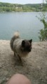 /album/fotogaleria-fotogaleria/a321204-1779809075300-1841621825-1172660-1985785168-n-jpg/